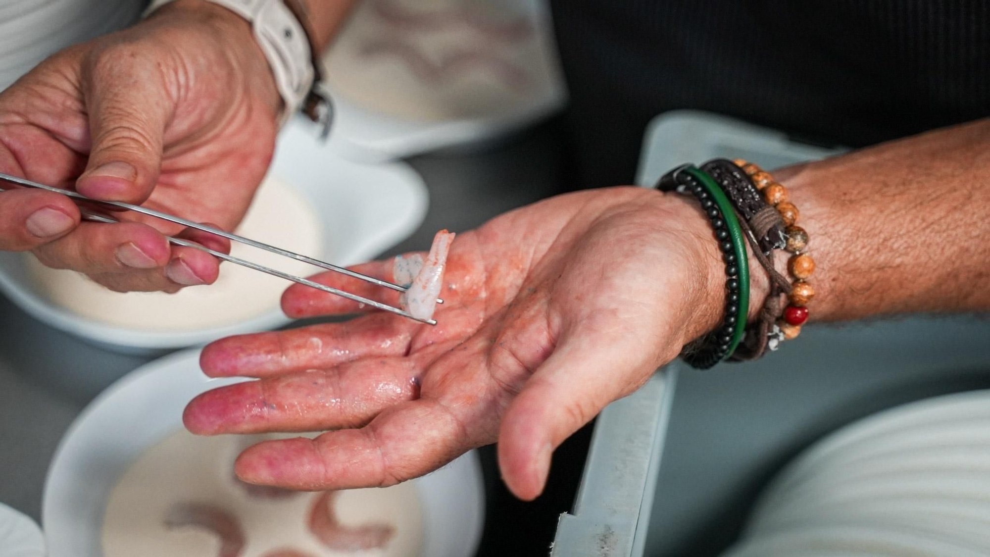 Cena de gala Cordoba Califato Gourmet