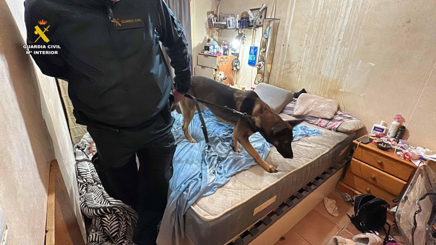 Sexto golpe al tráfico de drogas en el casco antiguo de Calahorra con 4 detenidos