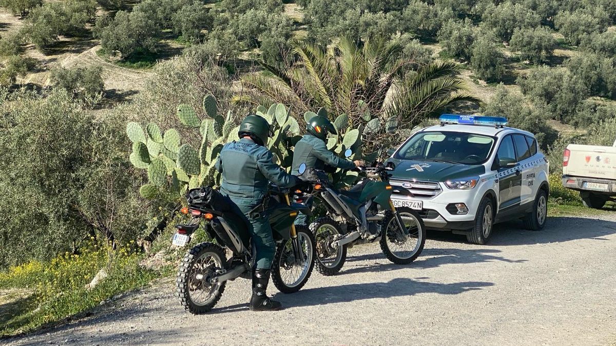 Investigan en el Bajo Cinca al gerente de una firma frutícola y al encargado de la explotación por abusar de temporeros