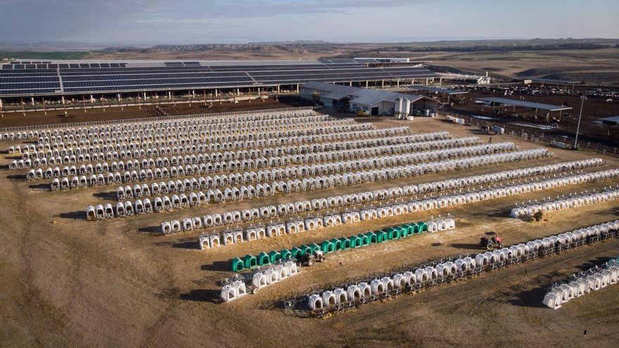 Una de las principales macrogranjas de España solicita al Gobierno de Navarra su ampliación hasta las 11.000 vacas