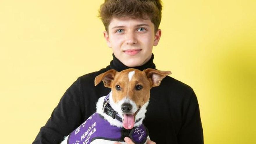 Oddie, el perro que alerta a Pablo antes de sufrir una crisis diabética y le ha "cambiado la vida"