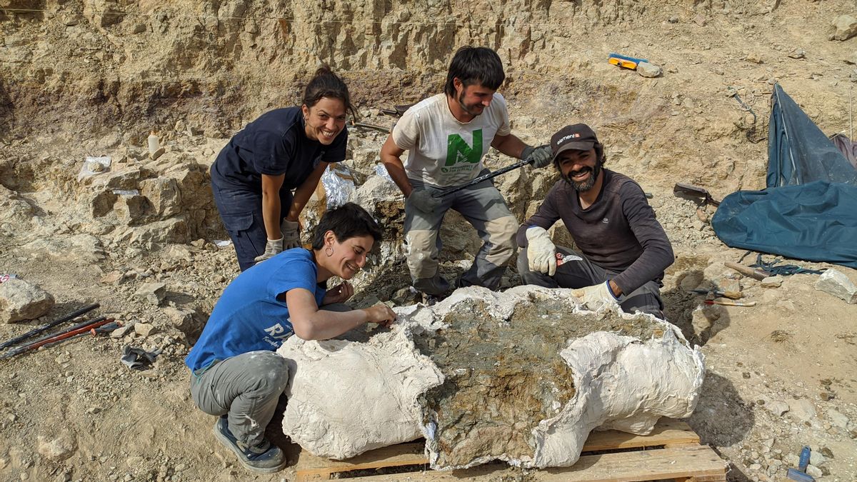 Extracción del gran bloque con huesos en el yacimiento de Alacón, en septiembre de 2022. En la fotografía Jara Parrilla Bel, directora de la actuación, junto con Eduardo Puértolas del grupo Aragosaurus IUCA de Unizar y Lope Ezquerro, de la Universidad Complutense de Madrid. Abajo sentada Laura de Jorge i Aranda, técnico restauradora del Laboratorio Paleontológico de Loarre.