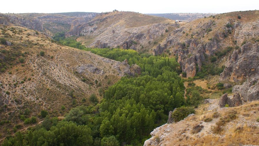 Bosques de Galería en el cauce del Río Dulce.