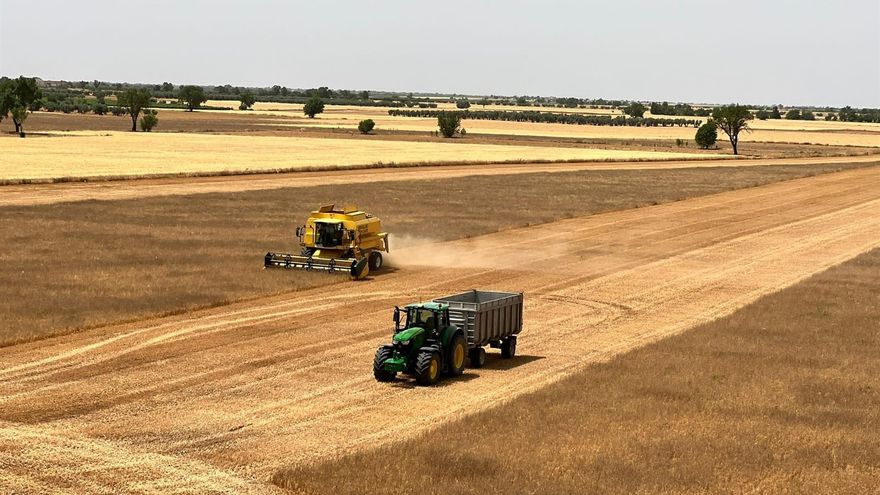 Mejora ligeramente la previsión de producción de cereales pero Castilla-La Mancha sigue con una caída del 70%