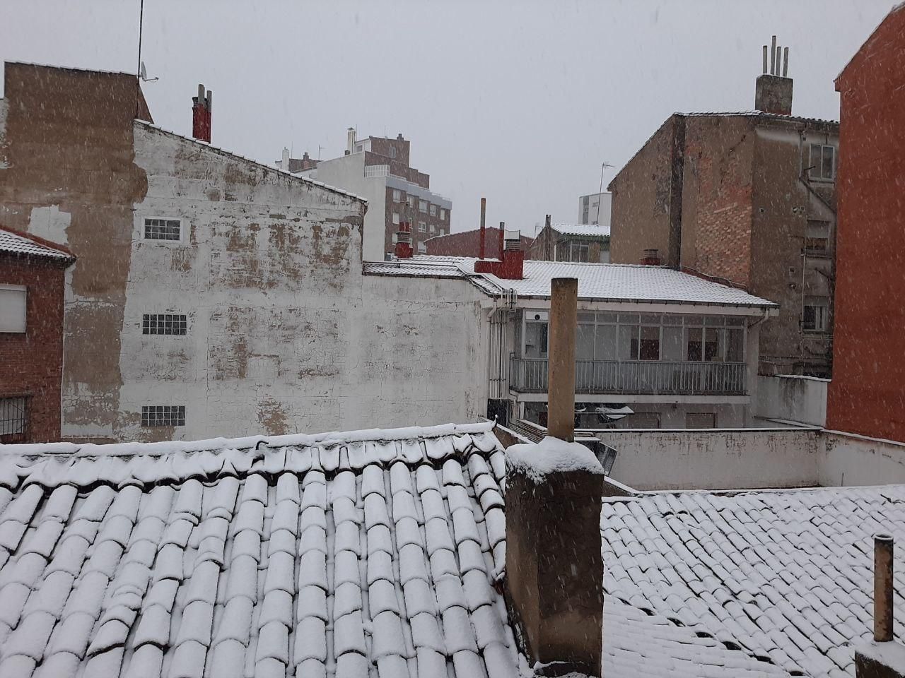 La nieve cuaja en la provincia de León: estampas blancas