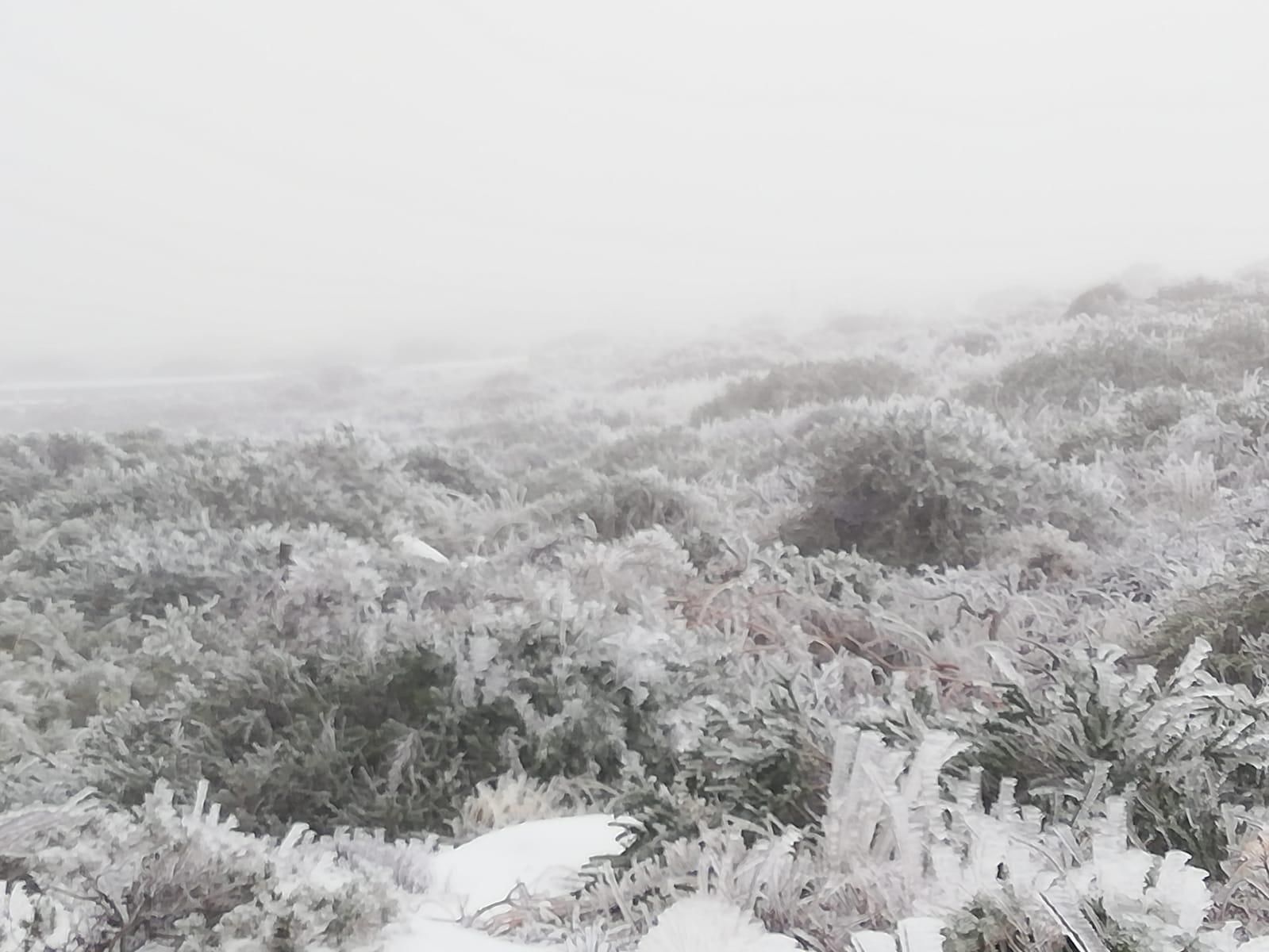 Paisaje polar en las cumbres de La Palma, este domingo,  10 de enero de 2021.