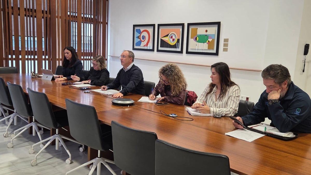 Comité Asesor del Plan Insular de Emergencias de La Palma (Peinpal), encabezado por el presidente del Cabildo de La Palma, Sergio Rodríguez,