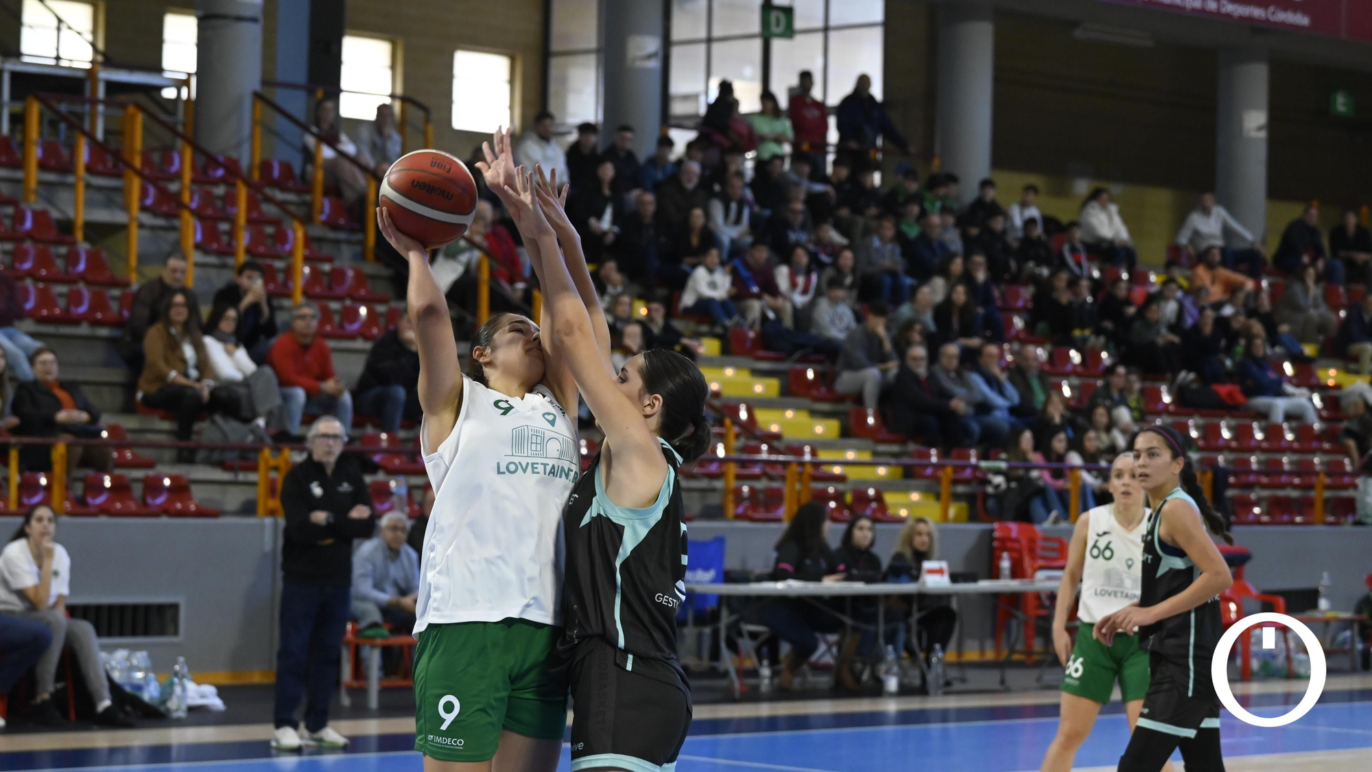 Copa Diputación Femenina