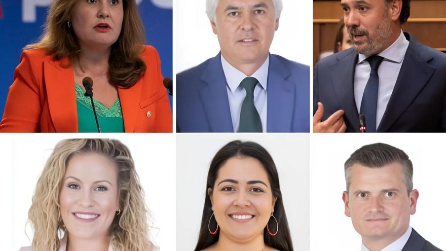 Los diputados canarios del PP ignoran a su Gobierno regional y votan en contra del traslado de menores migrantes