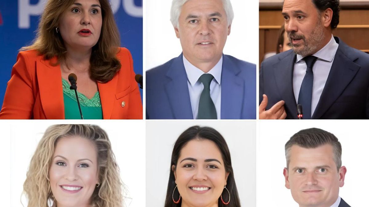 Jimena Delgado, Carlos Sanchez, Guillermo Mariscal, Laura María Lima, Ainhoa Molina y Juan Antonio Rojas, diputados canarios del PP.
