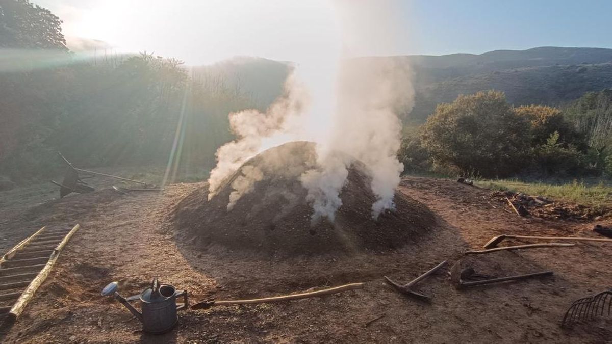 Villar de los Barrios extrae el martes su carbón vegetal elaborado en su soto