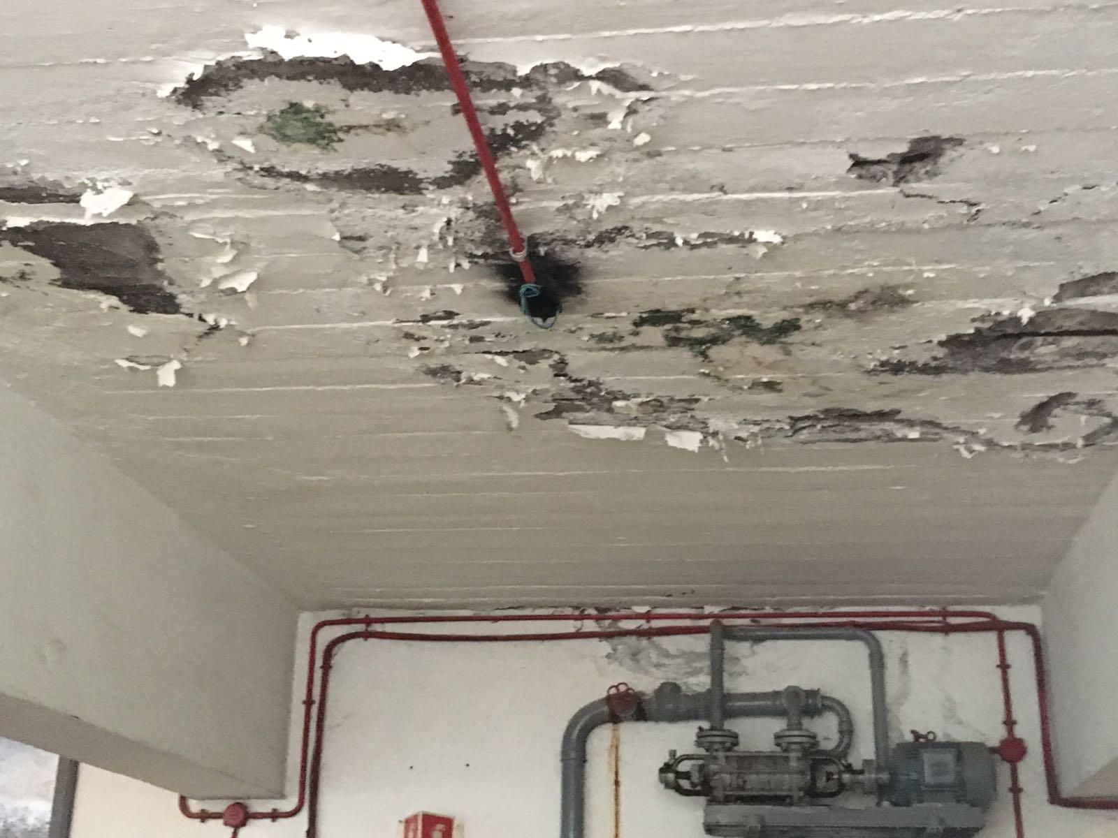 Algunos techos del parque de Santa Cruz han comenzado a desprenderse