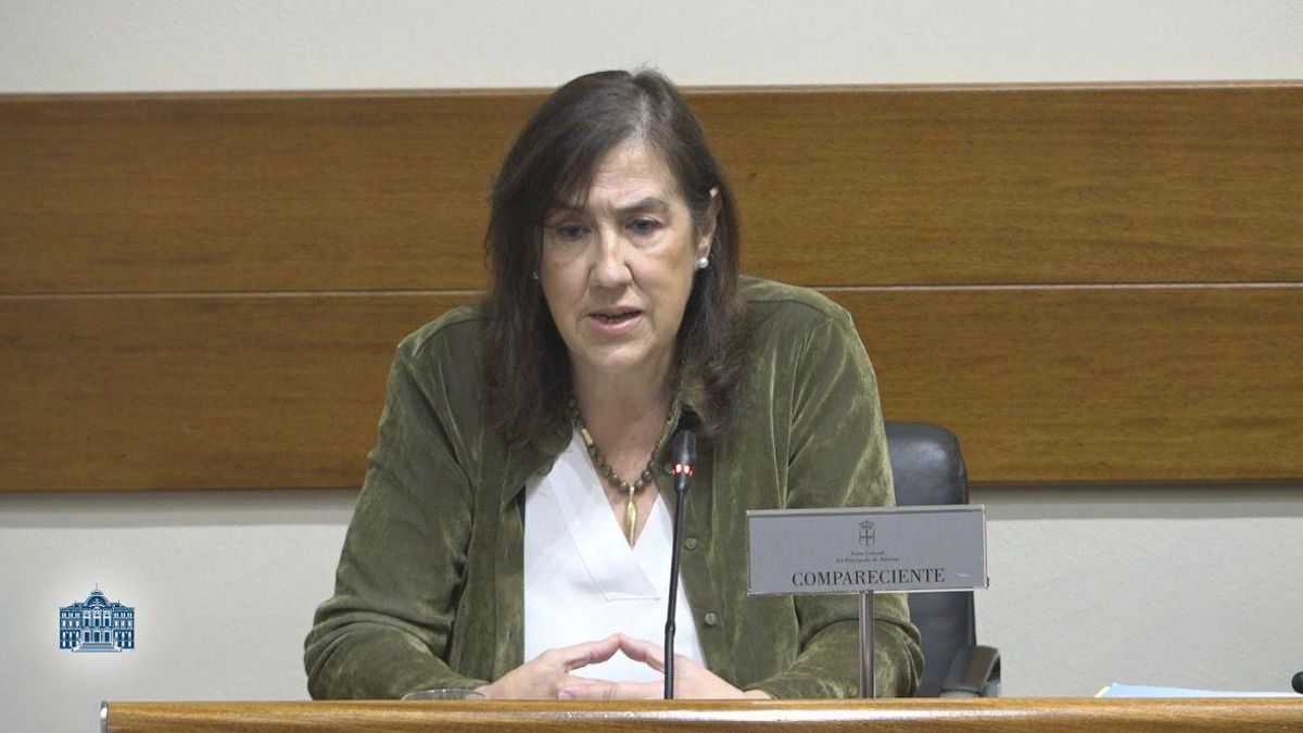 La ingeniera de los proyectos de Zarréu niega vínculos con la mina y trato de favor en las ayudas