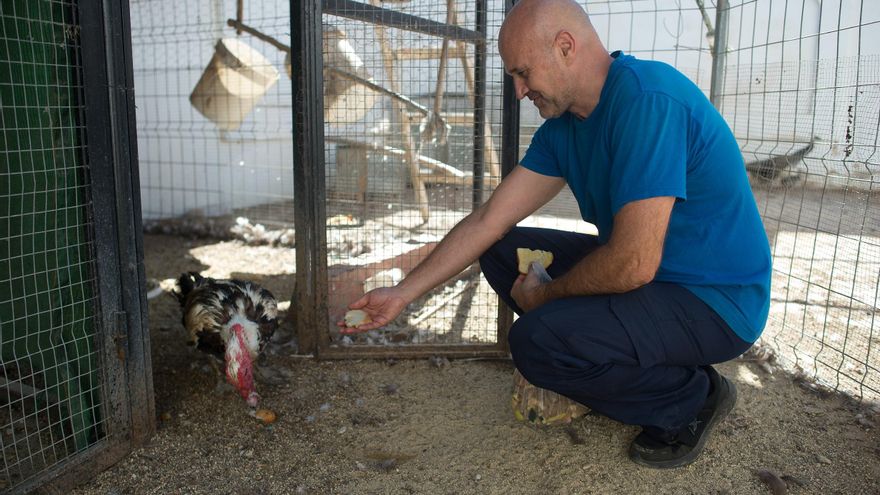 Juan Carmona, empleado de Tivoli World, alimenta a uno de los animales del parque. FOTO: JESÚS MÉRIDA.