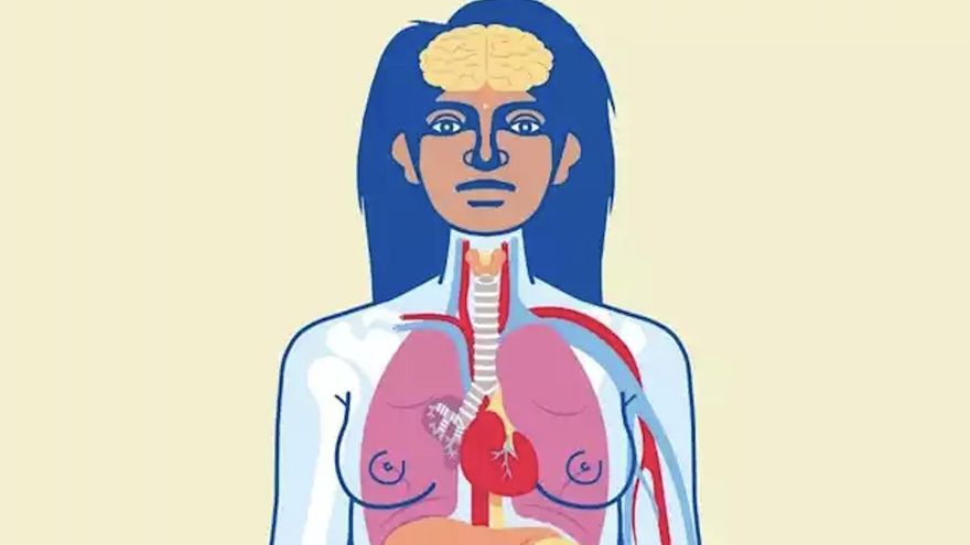 “Cuerpo-territorio”: visibilizan cómo las enfermedades y la contaminación son causadas por el extractivismo