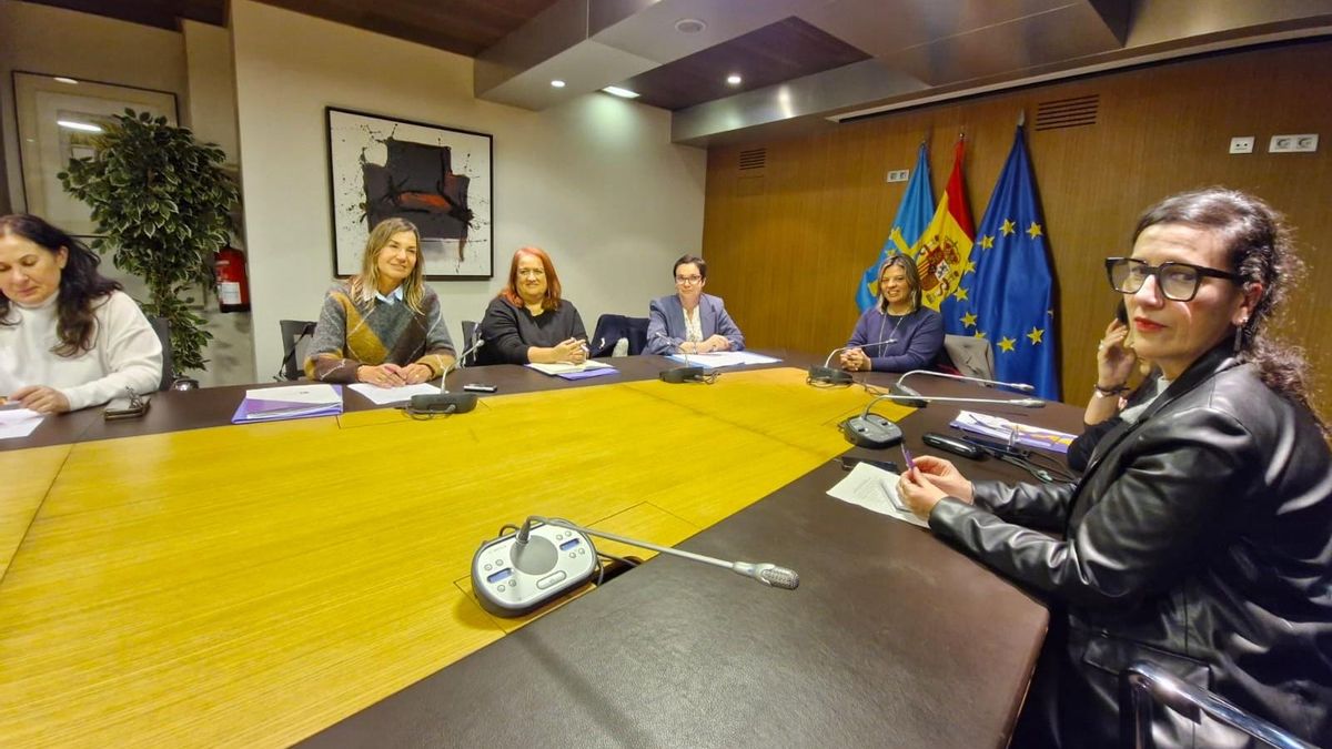 Gimena Llamedo presidió la reunión constitutiva del Observatorio de Violencia sobre las Mujeres en Asturias.