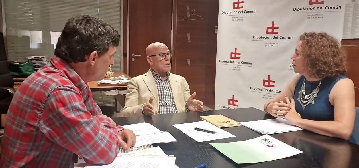 Reunión de la Plataforma Pampillo-Todoque con la Diputación del Común.