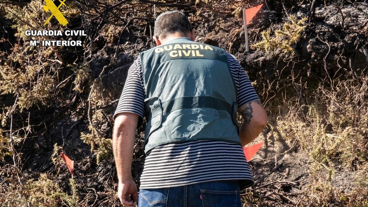 Agente del SEPRONA investiga un incendio.