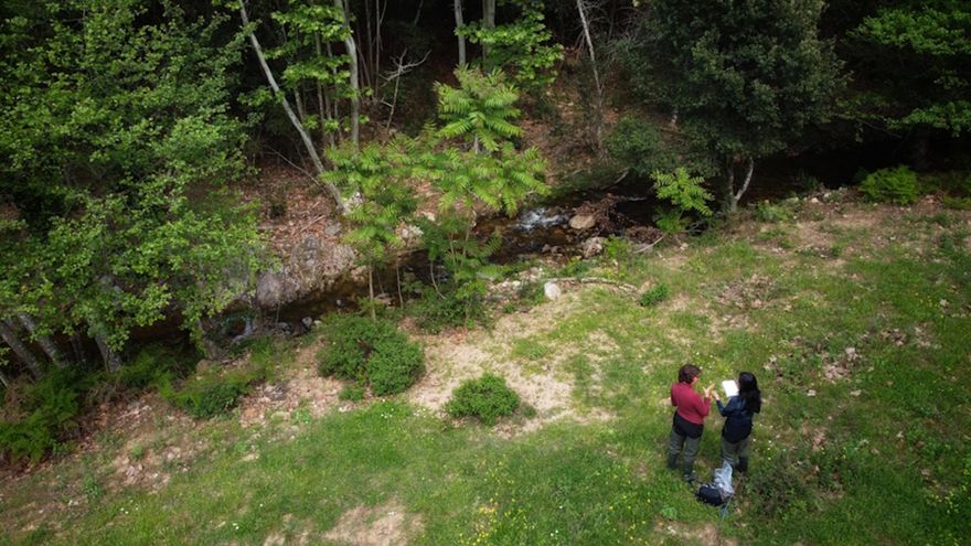 Identifican factores clave que regulan la eliminación natural de nitratos en los ríos