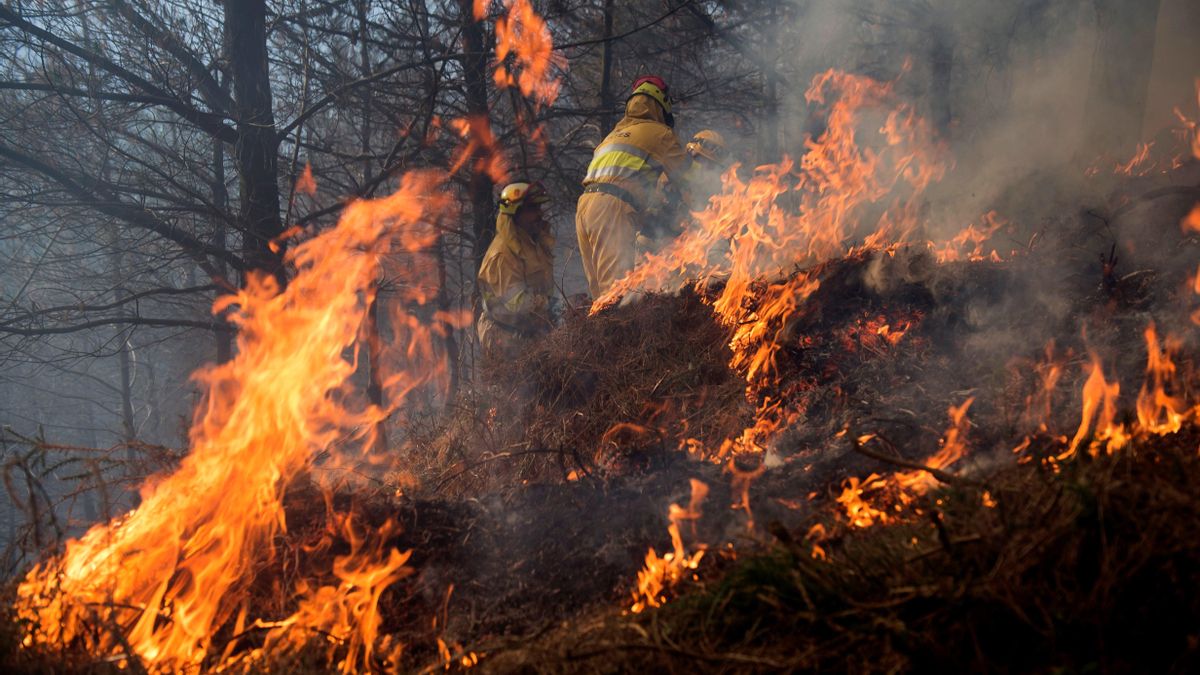 Casi 500 fuegos provocados y 6.000 hectáreas arrasadas en Cantabria en lo que va de año