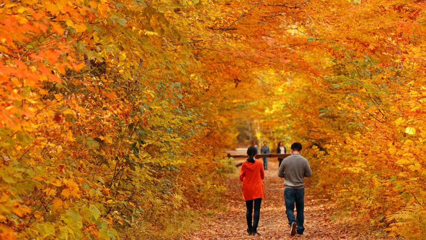 Estas rutas de senderismo son perfectas para ver el otoño en pleno esplendor por sus paisajes rojos y ocres