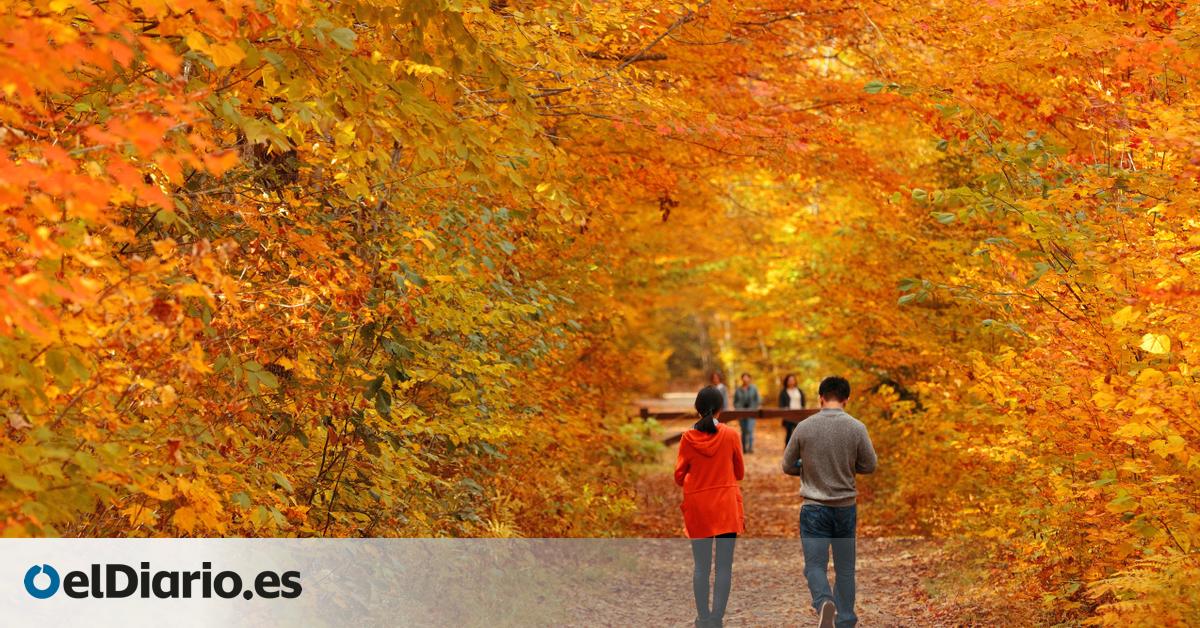 Estas rutas de senderismo son perfectas para ver el otoño en pleno esplendor por sus paisajes rojos y ocres