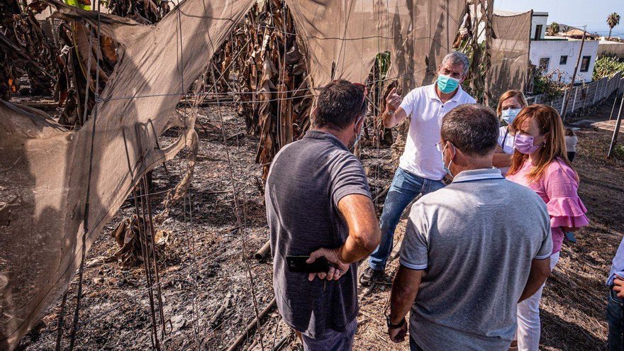 Visita a un cultivo de plataneras afectado por el fuego.