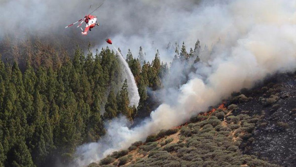 Un helicóptero en el incendio declarado en 2019 en la zona de Artenara, en el oeste de la isla de Gran Canaria