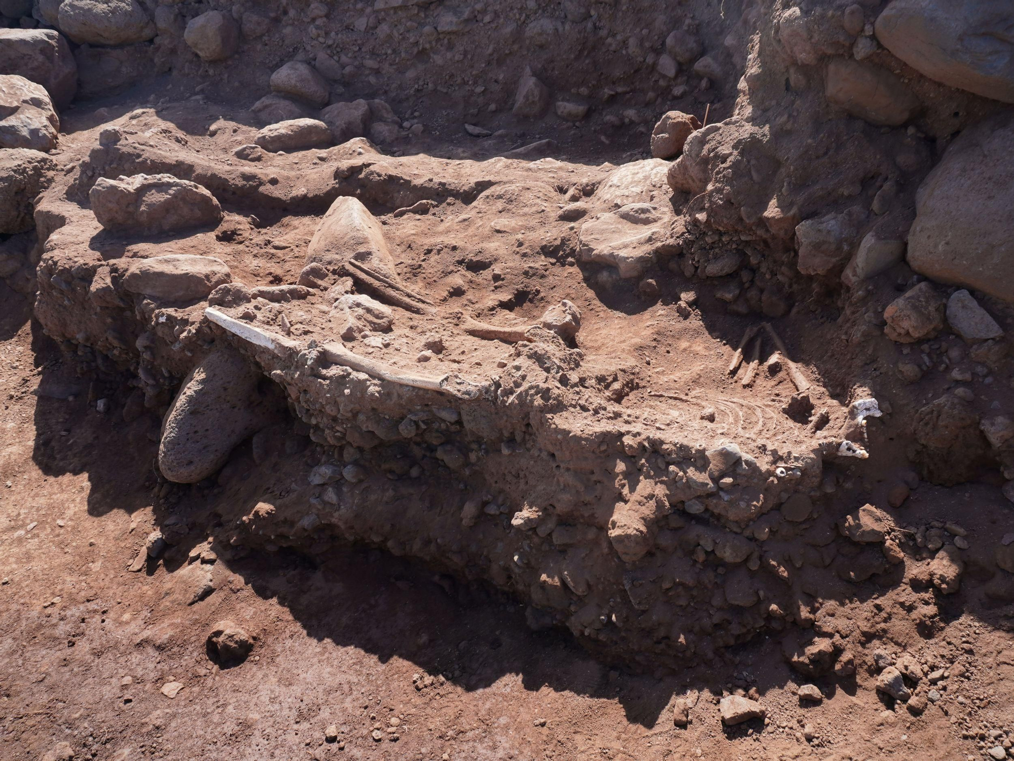 Los restos, a medio excavar en la costa de Garachico.