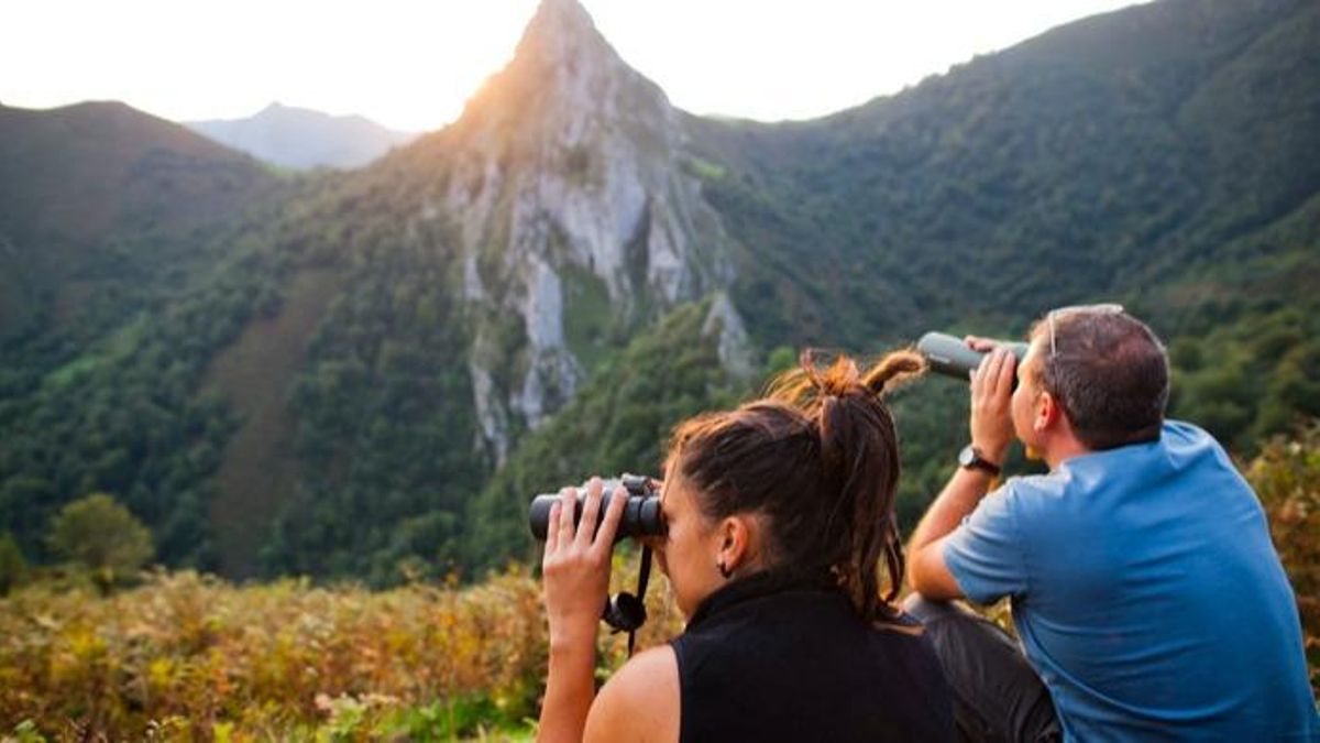 Observación de la berrea en Asturias.