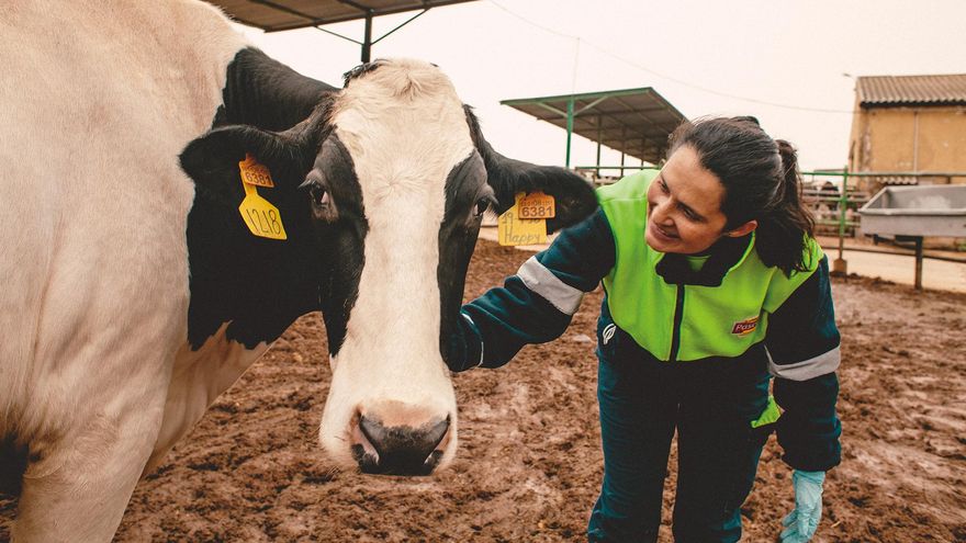 Castilla-La Mancha ha facilitado la incorporación de 4.000 jóvenes al campo, un tercio de ellos mujeres, desde 2016