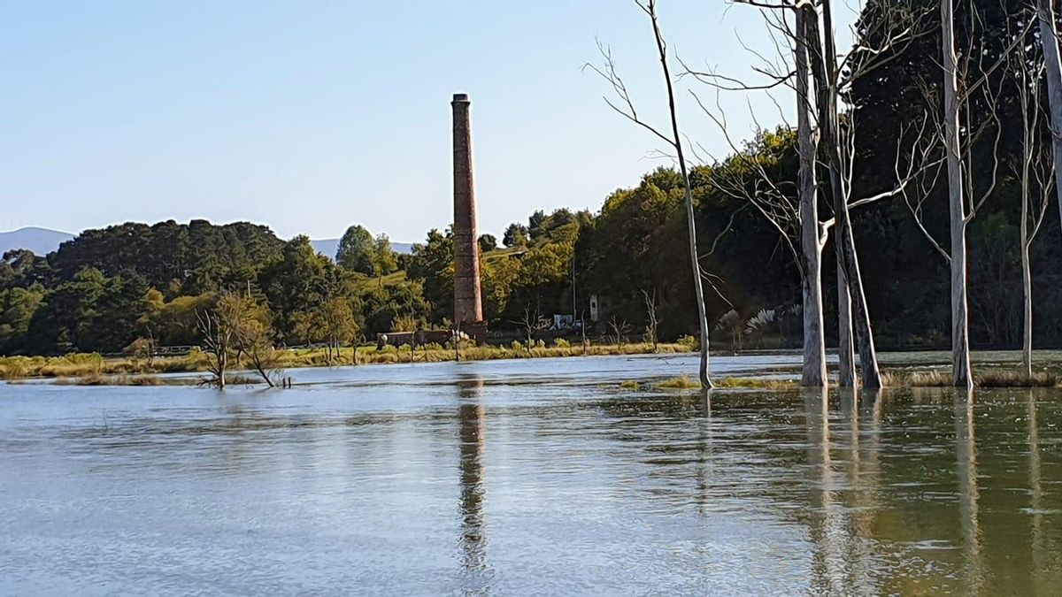 Retirada del Guggenheim de Urdaibai: ¿maniobra Parta?