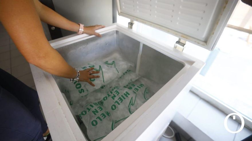 La crisis del hielo llega a Córdoba: empresas que cierran y más demanda que oferta disponible