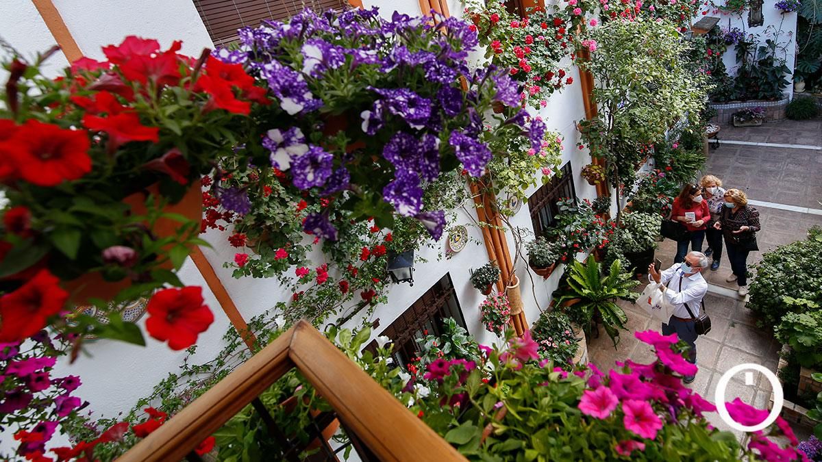 Patio Chaparro, 3- 2022