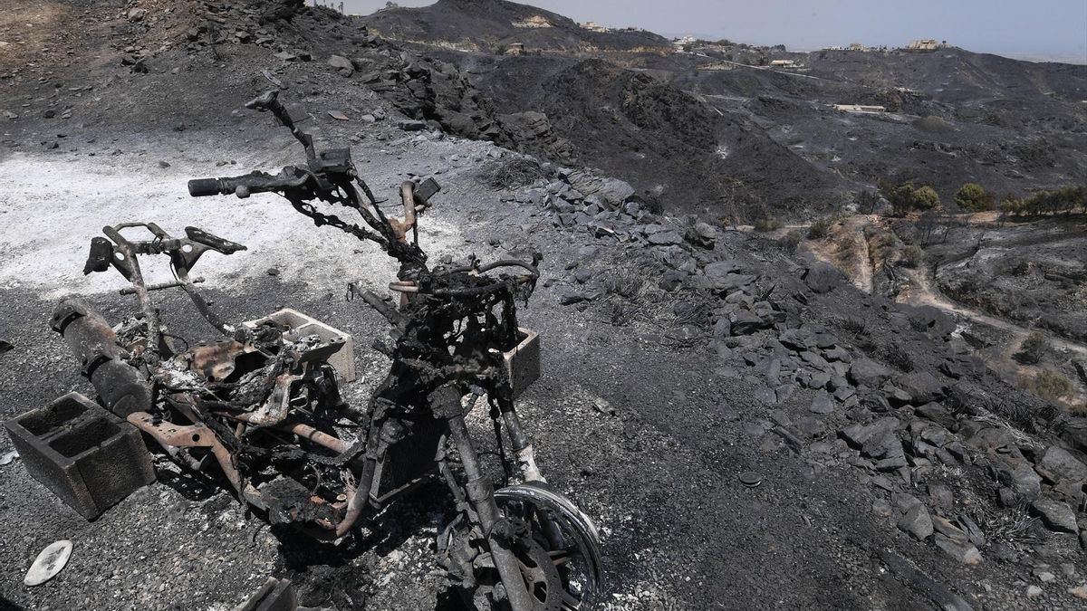 Terrenos calcinados por el incendio forestal, a 10 de julio de 2026, en Los Gallardos, Almería.