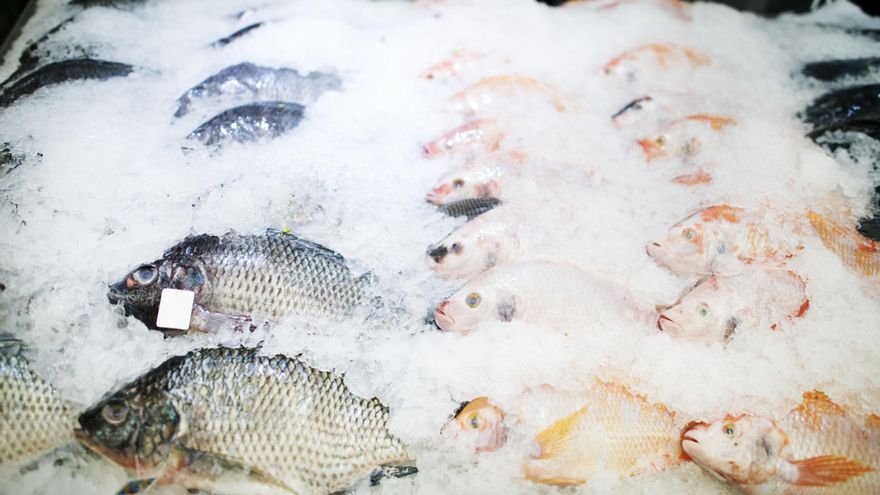 Alimentación sana: siete pistas para reconocer si el pescado que comprás es fresco o no