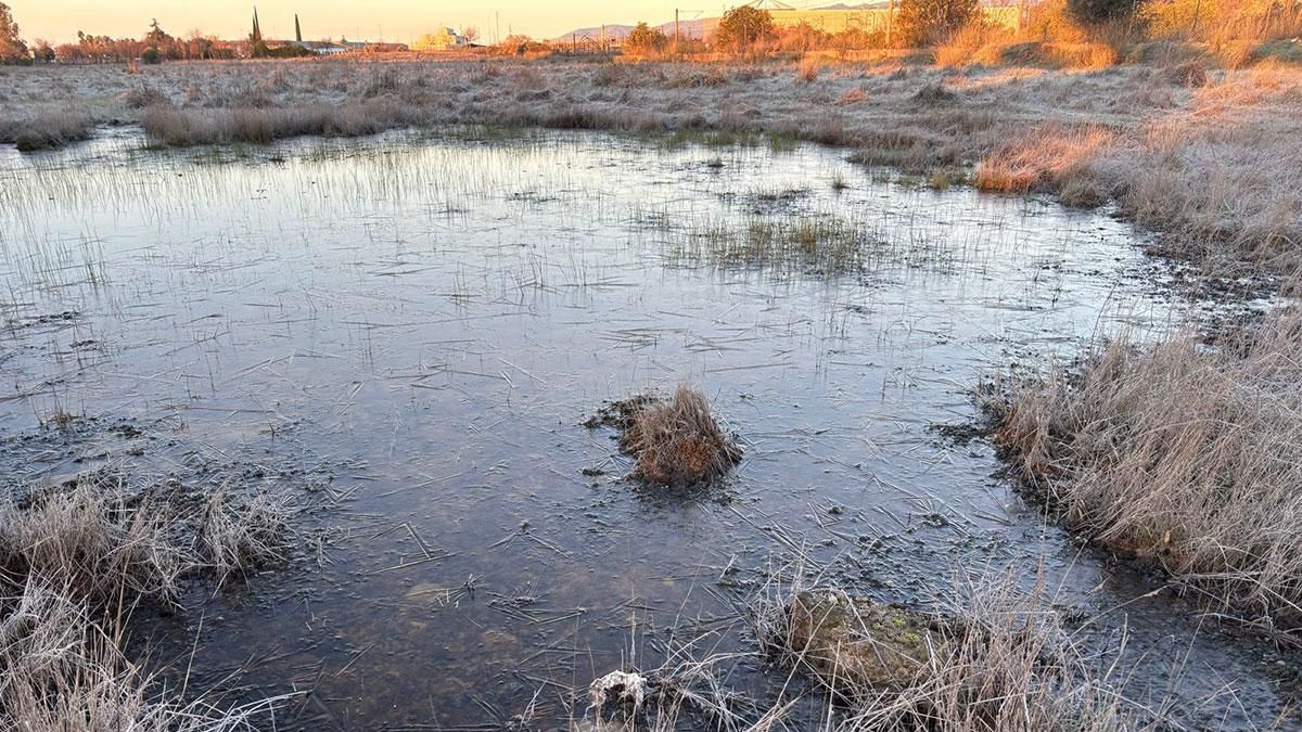 Noche gélida en toda la provincia de Córdoba rondando los -4 ºC