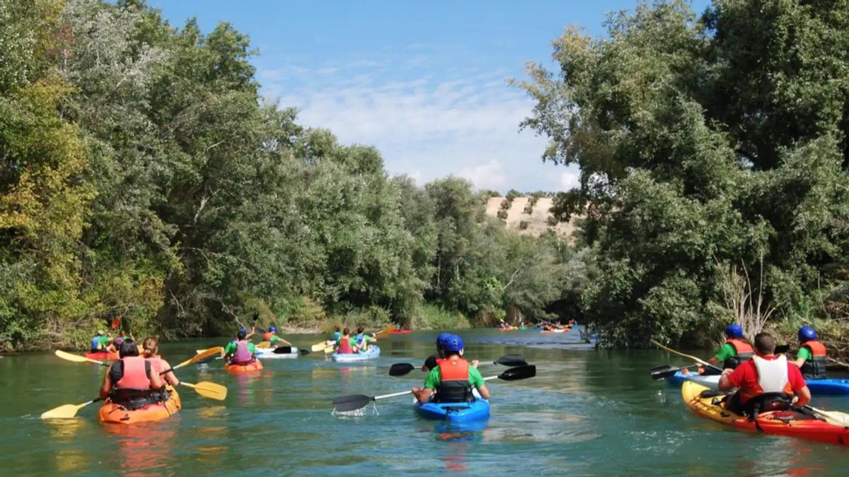 Kayak en el río Genil, en Málaga.