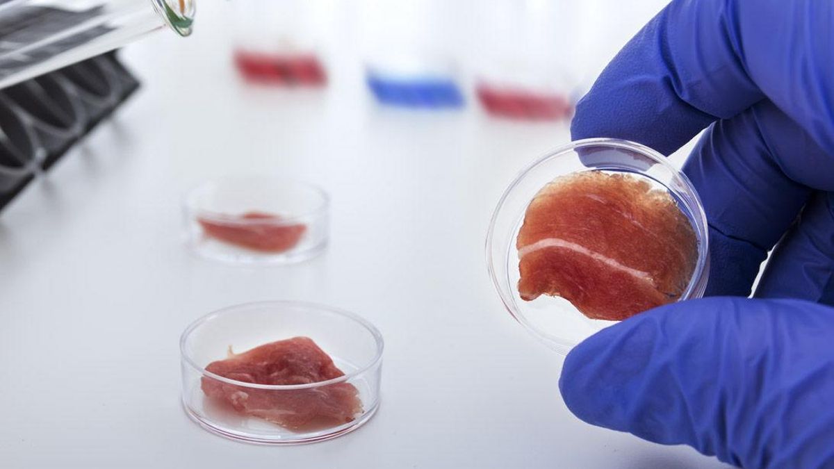 Científicos españoles desarrollan un método con células madre para conseguir un filete ibérico de carne sintética