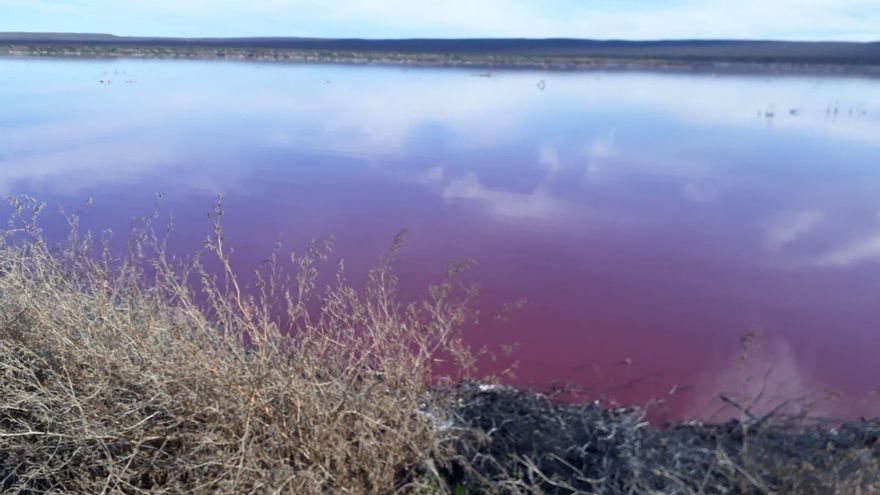 Todo lo que esconde el color rosa de una laguna en Argentina