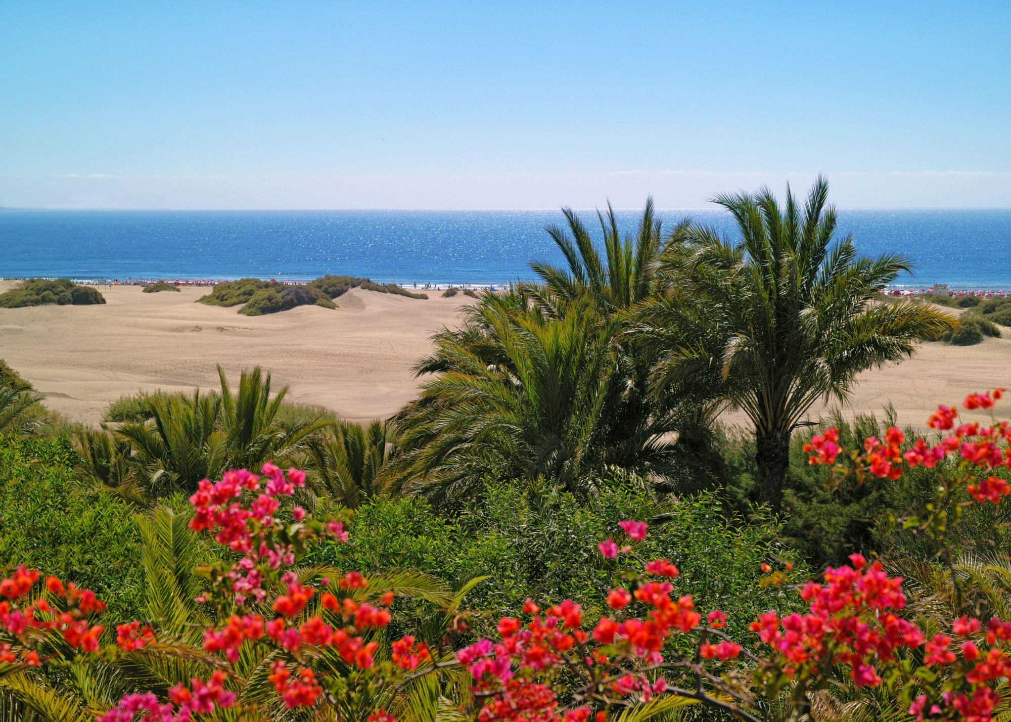 Dunas de Maspalomas (San Bartolomé de Tirajana)