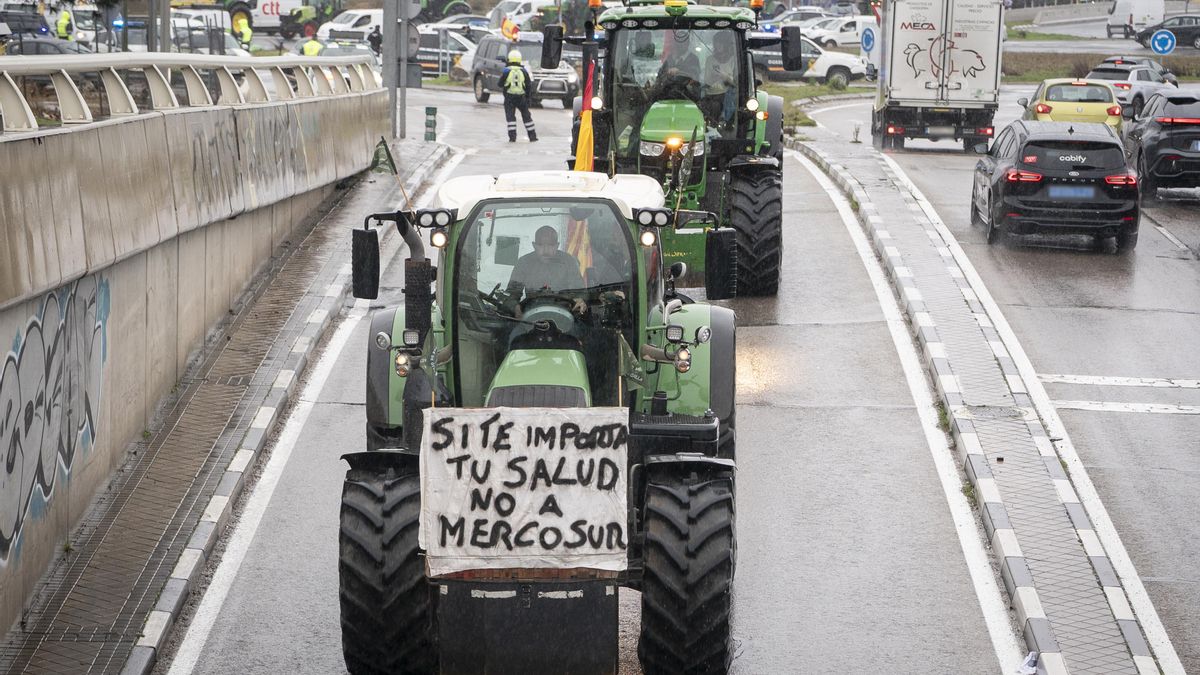 Protesta de agricultores y ganaderos en Madrid.