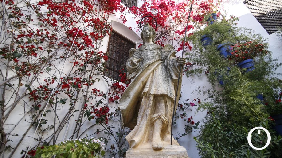 Patio Plaza San Rafael, 7