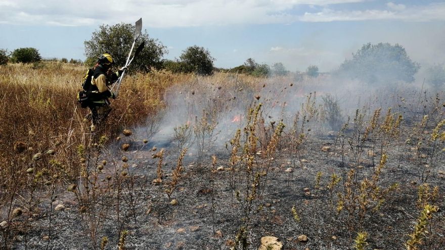 Mitjans aeris i terrestres combaten un incendi agrícola a Santanyí