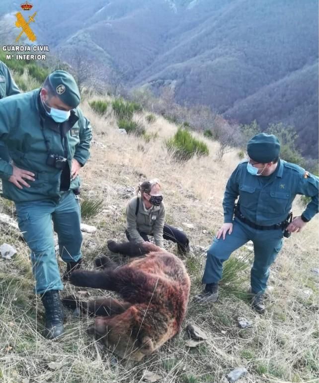 Imagen del último ejemplar muerto.