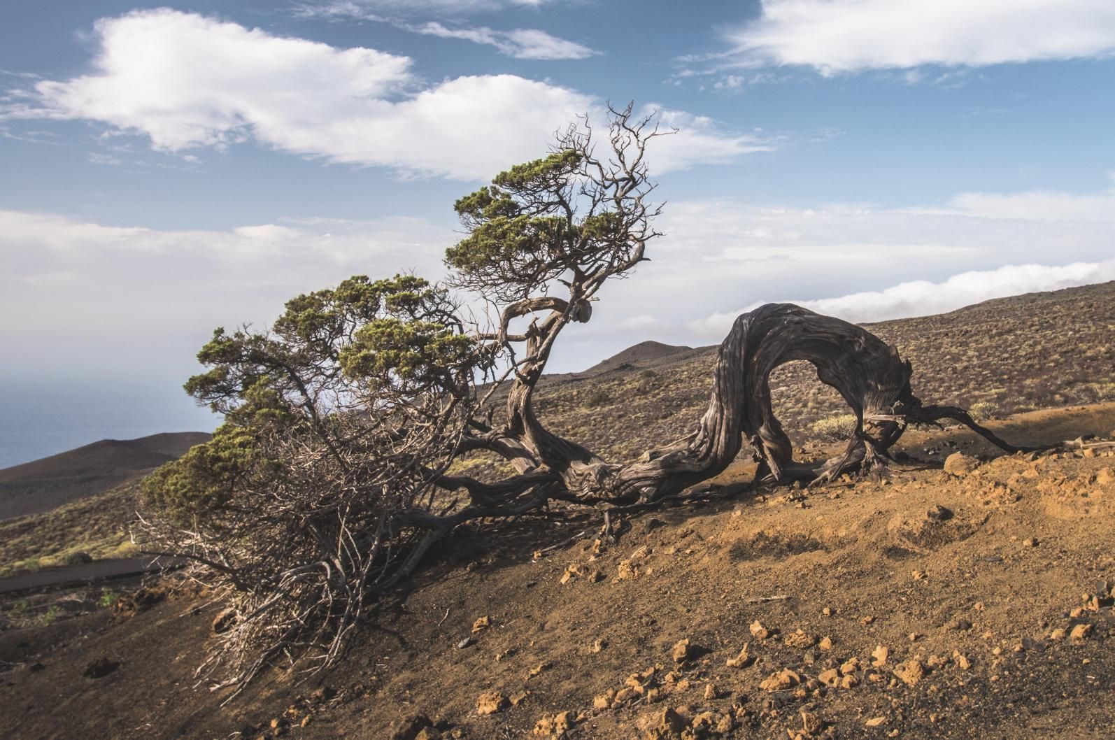 Parque rural de Frontera, El Hierro
