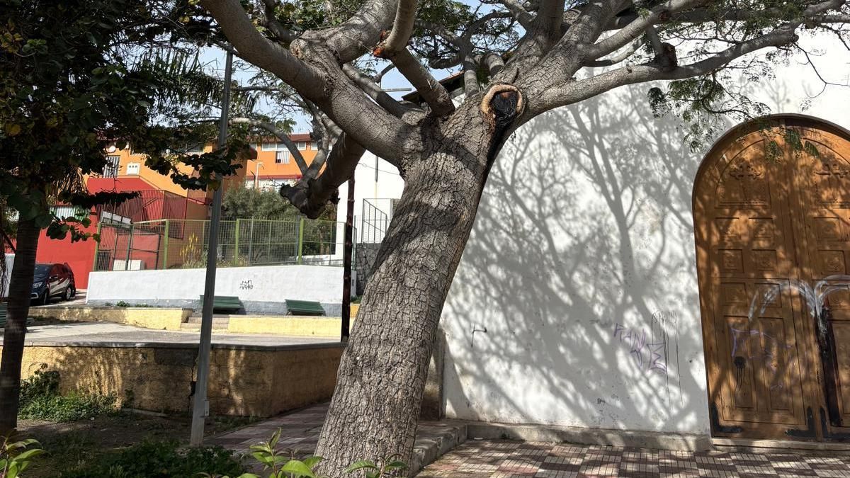 Vecinos de Santa Cruz de Tenerife rechazan la eliminación de 20 árboles y una ermita para crear aparcamientos y plantean alternativas