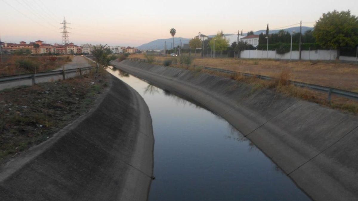 Rescatan a una familia de patos atrapada en el canal del Guadalmellato