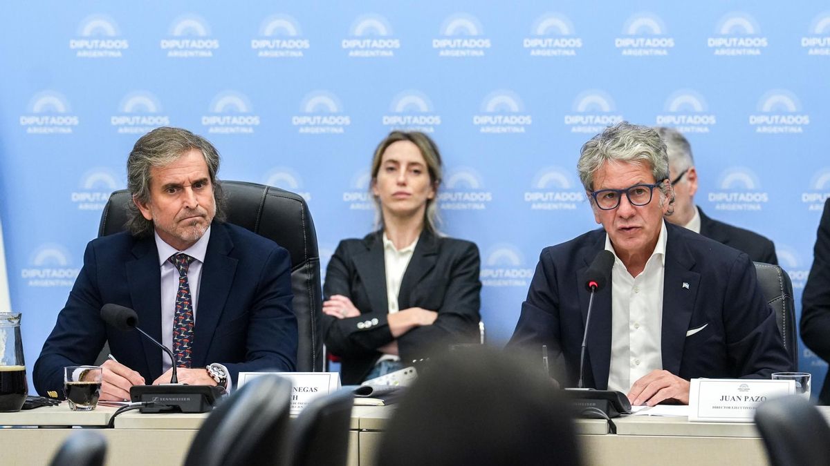 "Bertie" Benegas Lynch, nuevo presidente de comisión Presupuesto, y Juan Pazo