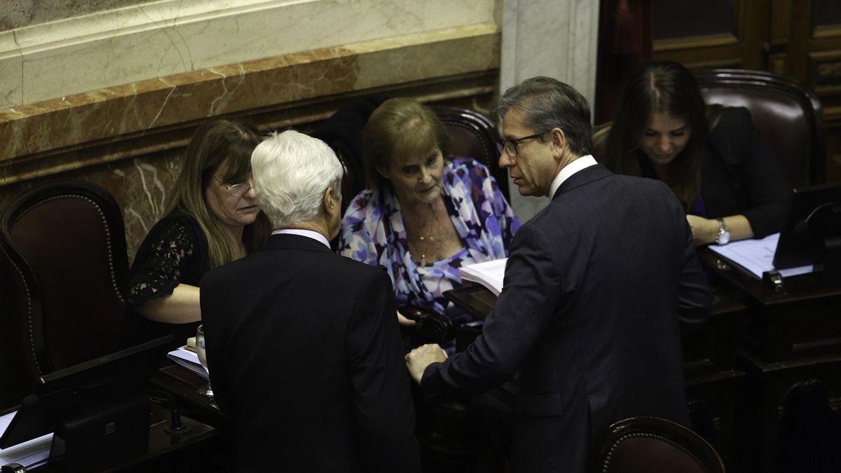 Eduardo Vischi, jefe del bloque radical